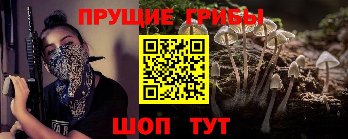 Серов  Псилоцибиновые грибы Cubensis  Вход с VPN 